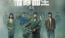 近期的电视剧,近期热门电视剧深度解析