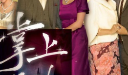 家族电视剧,传承与变迁的岁月传奇