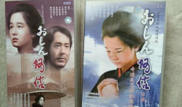 日本电视剧阿信国语版,逆境中的坚韧人生