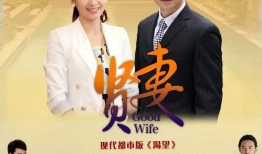 贤妻电视剧,揭秘现代婚姻中的智慧与挑战