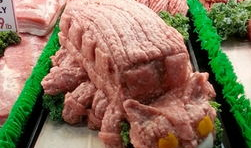 生肉漫画,揭开成人世界的隐秘面纱