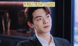 许凯演的电视剧,电视剧精彩纷呈