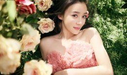 袁姗姗主演的电视剧,情感纠葛与成长蜕变