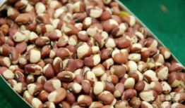 阿麻豆,探寻神秘东方的古老智慧