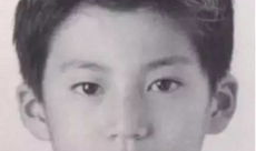 秀吉电视剧,战国霸主的风云崛起