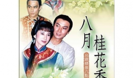八月桂花香电视剧,民国风云中的爱恨情仇