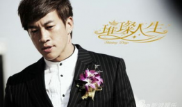 何润东演的全部电视剧,从青春偶像到实力派演员的蜕变之路