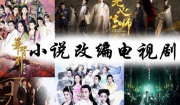 电视剧电视连续剧,探寻电视剧背后的故事与魅力