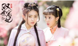 宠妃 电视剧,宫廷爱恨情仇的华丽演绎