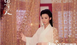 思美人电视剧,穿越时空的美丽传奇