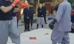 樊少皇电视剧南拳北腿,樊少皇演绎江湖传奇