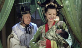 狸猫换太子电视剧,宫廷秘闻与权谋较量