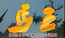 丐王电视剧全集,江湖传奇，一代传奇乞丐的逆袭之路