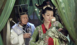 狸猫换太子电视剧,宫廷秘闻与权谋较量