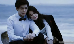 姐弟恋电视剧,姐弟情缘电视剧深度解析