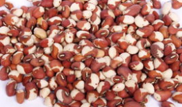 阿麻豆,探寻神秘东方的古老智慧