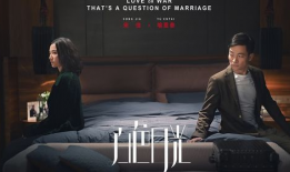 白色月光电视剧,探寻爱与背叛的迷雾边缘