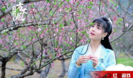 花间提壶方大厨电视剧,穿越古代的美食传奇