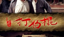 电视剧打狗棍演员表,实力派明星齐聚一堂，演绎传奇人生