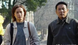 蒋雯丽演过的电视剧,电视剧作品回顾