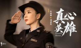 真心英雄电视剧,致敬平凡中的伟大身影