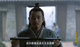 电视剧卧薪尝胆,复仇之路的坚韧与智慧