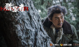 动物电视剧,揭秘野生动物的生存智慧与情感世界