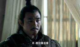 电视剧卧薪尝胆,复仇之路的坚韧与智慧