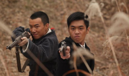 黑狐电视剧,谍影重重，暗战风云