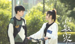 电视剧小敏家,家庭变迁中的爱与成长