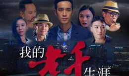 我的老千生涯电视剧,揭秘赌场风云背后的传奇人生