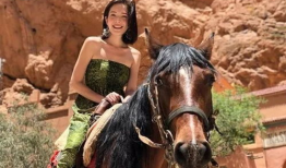 湾麻豆,揭秘台湾网红新势力