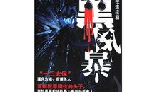 打黑风暴电视剧,正义风暴席卷黑恶势力