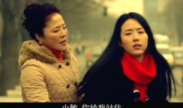 电视剧全部,穿越时空的传奇之旅